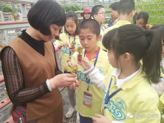 【圍觀】福建小記者走進(jìn)農(nóng)場(chǎng)體驗(yàn)農(nóng)耕樂趣 【圍觀】福建小記者走進(jìn)農(nóng)場(chǎng)體驗(yàn)農(nóng)耕樂趣