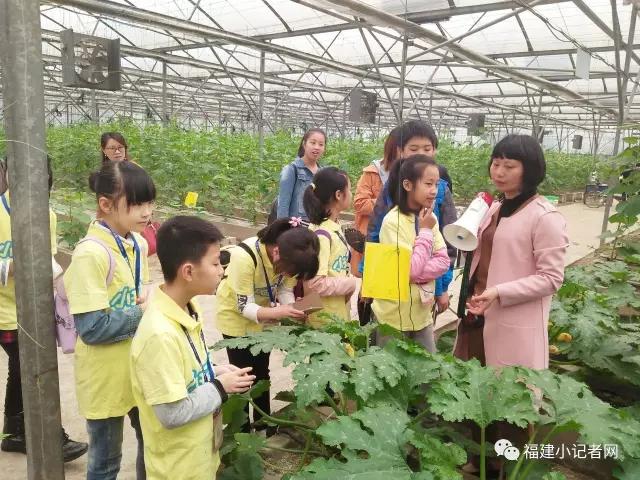 【圍觀】福建小記者走進(jìn)農(nóng)場(chǎng)體驗(yàn)農(nóng)耕樂趣 【圍觀】福建小記者走進(jìn)農(nóng)場(chǎng)體驗(yàn)農(nóng)耕樂趣