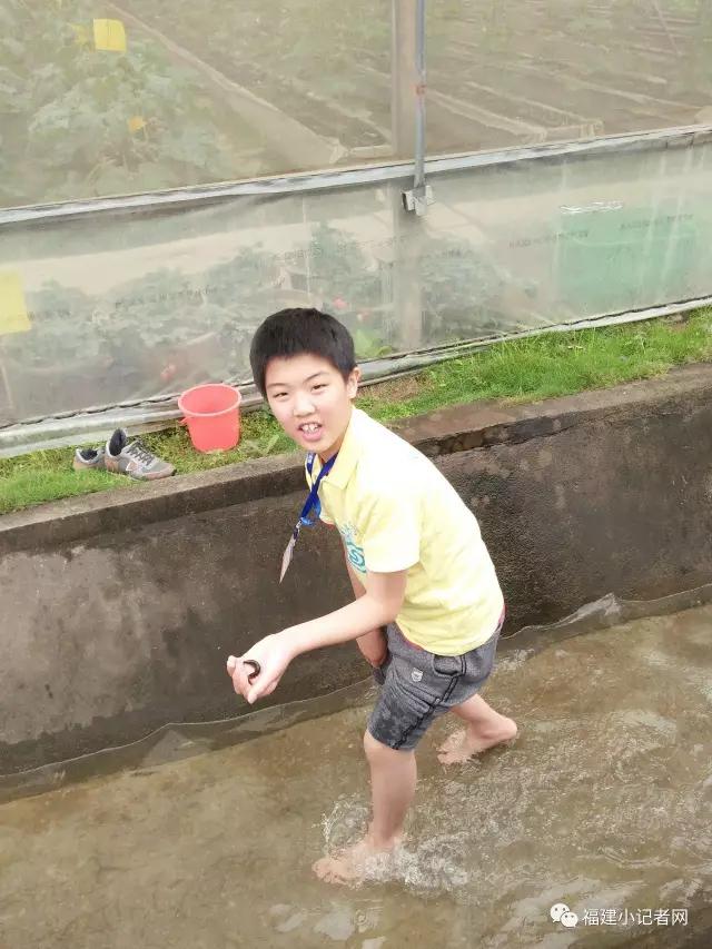 【圍觀】福建小記者走進(jìn)農(nóng)場(chǎng)體驗(yàn)農(nóng)耕樂趣 【圍觀】福建小記者走進(jìn)農(nóng)場(chǎng)體驗(yàn)農(nóng)耕樂趣