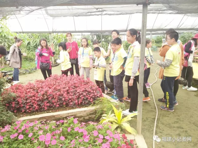 【圍觀】福建小記者走進(jìn)農(nóng)場(chǎng)體驗(yàn)農(nóng)耕樂趣 【圍觀】福建小記者走進(jìn)農(nóng)場(chǎng)體驗(yàn)農(nóng)耕樂趣