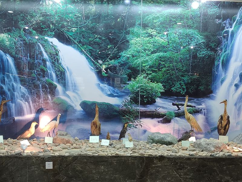 動植物標(biāo)本分館