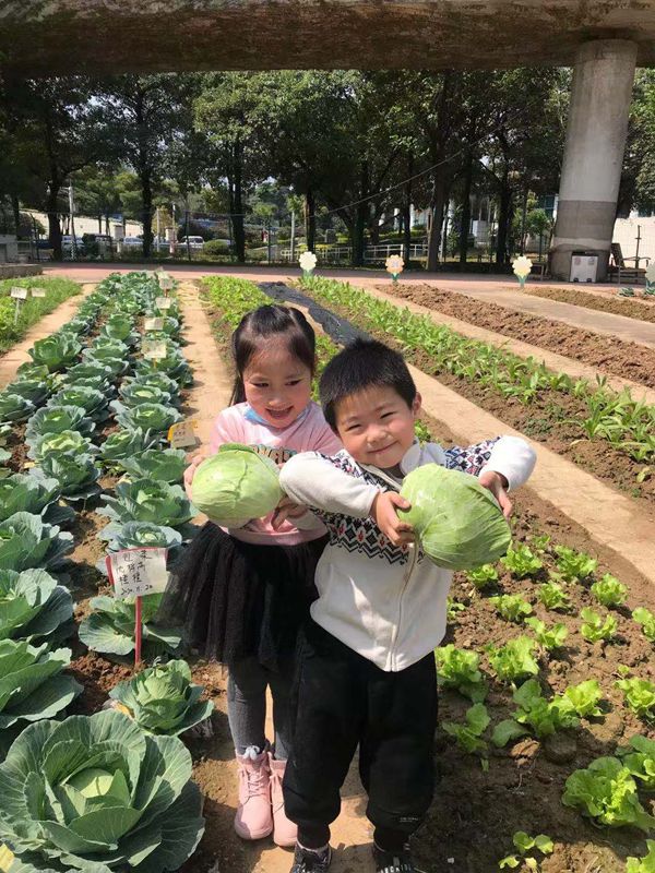 福州科技館科普農(nóng)場 福州科技館科普農(nóng)場