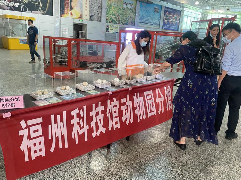 福州科技館動物園分館端午節(jié)活動 福州科技館動物園分館端午節(jié)活動