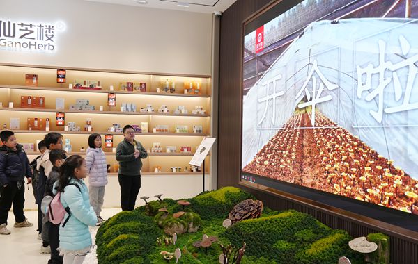 靈芝閩都研學(xué)行:探秘「仙草」背后的科學(xué)密碼 靈芝閩都研學(xué)行:探秘「仙草」背后的科學(xué)密碼
