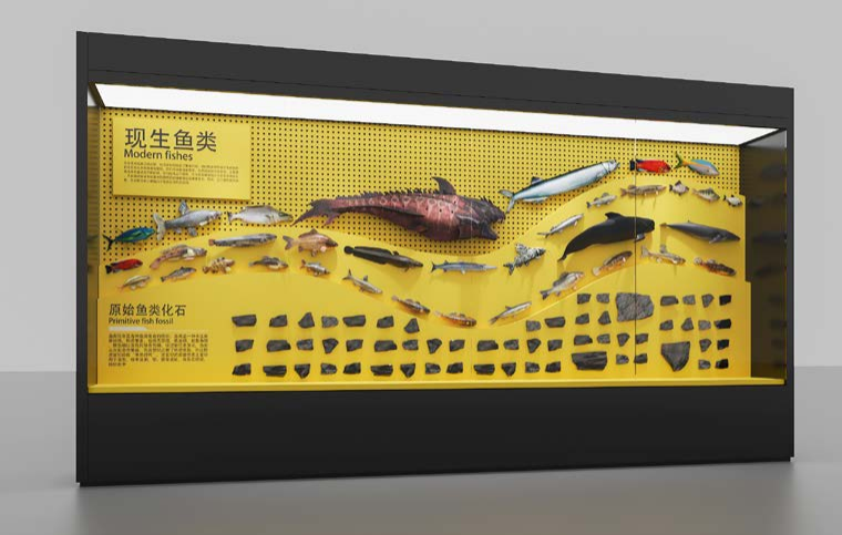 魚類展示柜 魚類展示柜