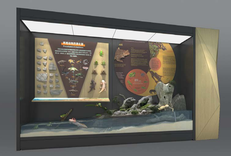 兩棲動物展示柜 兩棲動物展示柜