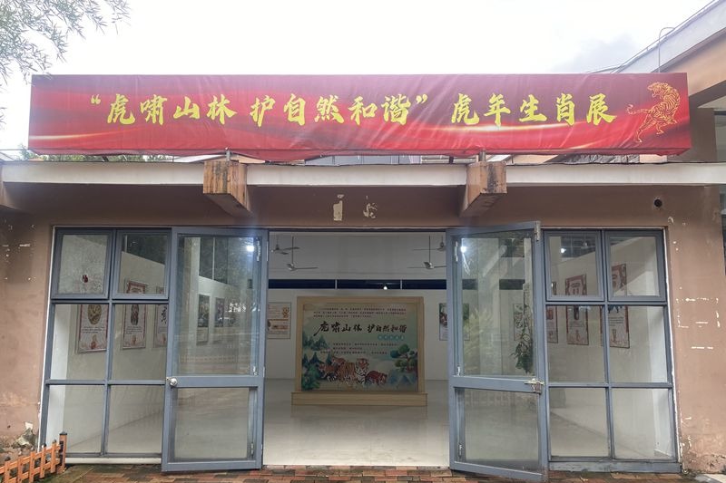 虎年生肖文化展科普活動