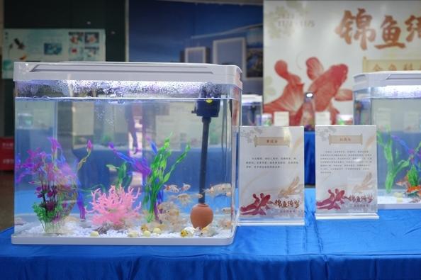 “錦魚·綺夢”金魚科普展在福州科技館舉行