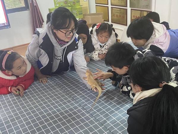 龍年生肖動物課堂活動舉辦