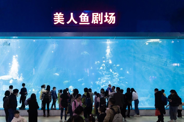 2023年福州科技館分館游學(xué)系列活動(dòng)暨3.3“世界野生動(dòng)植物日——野生動(dòng)植物保護(hù)伙伴關(guān)系之中華白海豚傘護(hù)效應(yīng)”活動(dòng)簡(jiǎn)報(bào) 2023年福州科技館分館游學(xué)系列活動(dòng)暨3.3“世界野生動(dòng)植物日——野生動(dòng)植物保護(hù)伙伴關(guān)系之中華白海豚傘護(hù)效應(yīng)”活動(dòng)簡(jiǎn)報(bào)